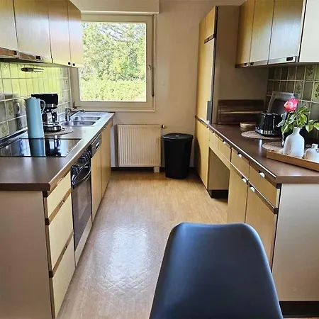 Meeresruh Mit Hund *