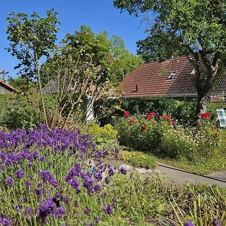 Dom wakacyjny Meeresruh Mit Hund *